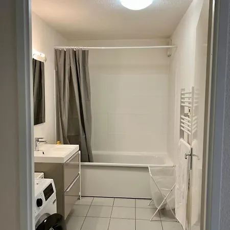 T4 Recent - Centre Avec 2 Parkings Fonsorbes