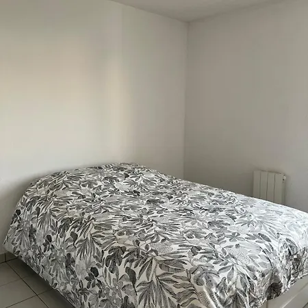 T4 Recent - Centre Avec 2 Parkings Apartment Fonsorbes